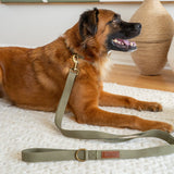 Tilley + Me Hemp Cotton Dog Collar – Durable, Adjustable, Soft – Joshua Tree