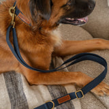 Tilley + Me Hemp Cotton Dog Collar – Durable, Adjustable, Soft – Joshua Tree