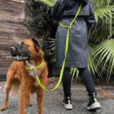 Tilley + Me PVC Dog Collar - All Weather Waterproof Durable & Odor-Resistant