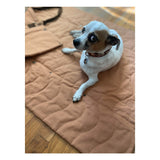Trekk Convertible Travel Mat - Portable Canvas Bed for Dogs & Humans | Camping, Concerts, Picnics