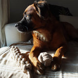 Tilley + Me Indestructible Hemp Rope Ball Toy - Sustainable and Non-Toxic Pet Toy